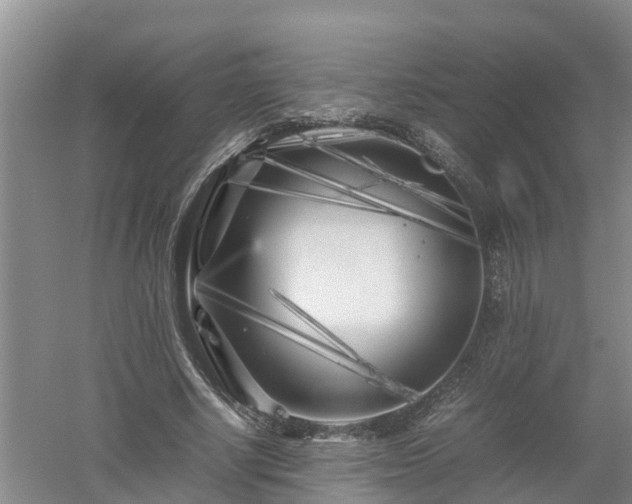 X0000053010634200507151948