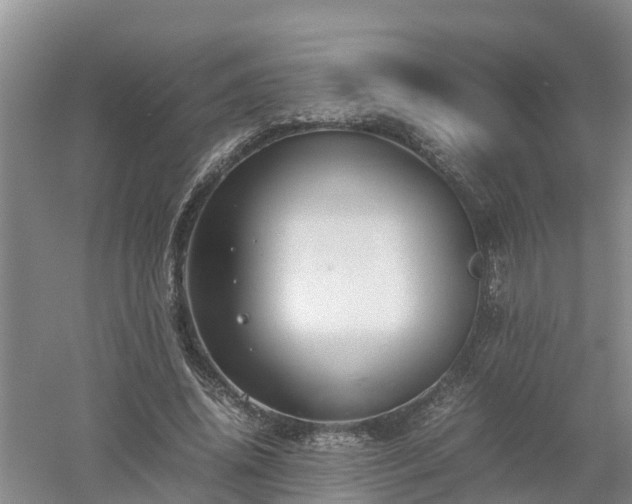 X0000053010636200507151948