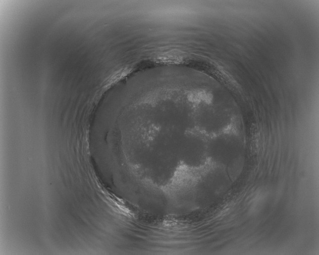 X0000053010641200507151949