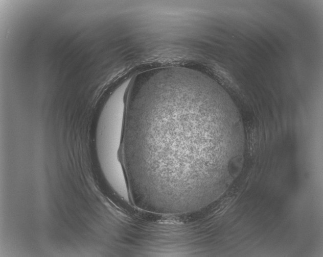 X0000053010644200507151949