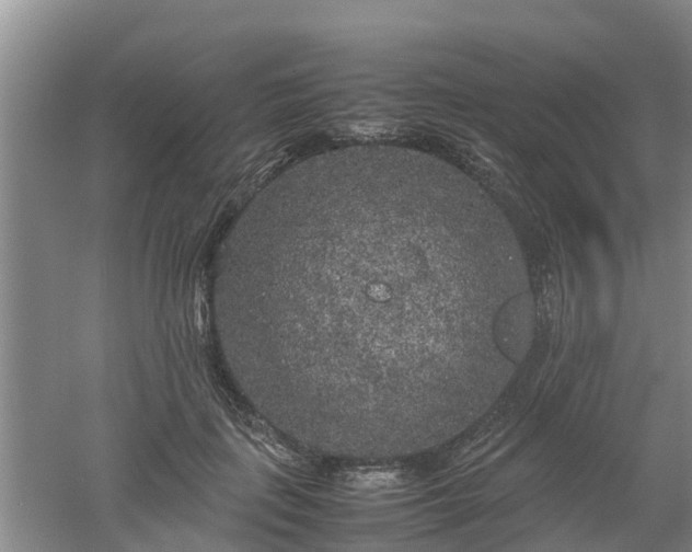 X0000053010651200507151949