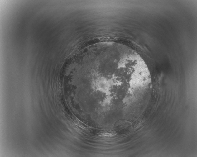 X0000053010659200507151949