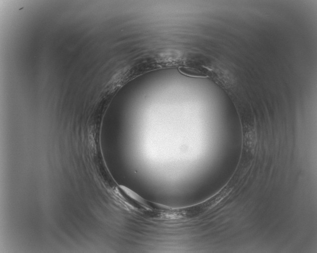 X0000053010662200507151949