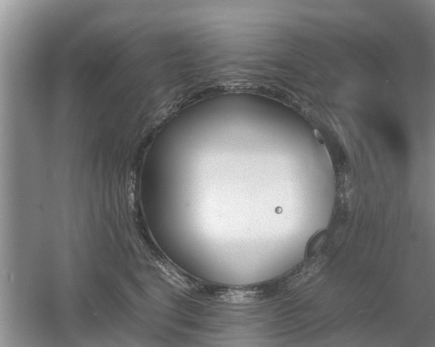 X0000053010664200507151949