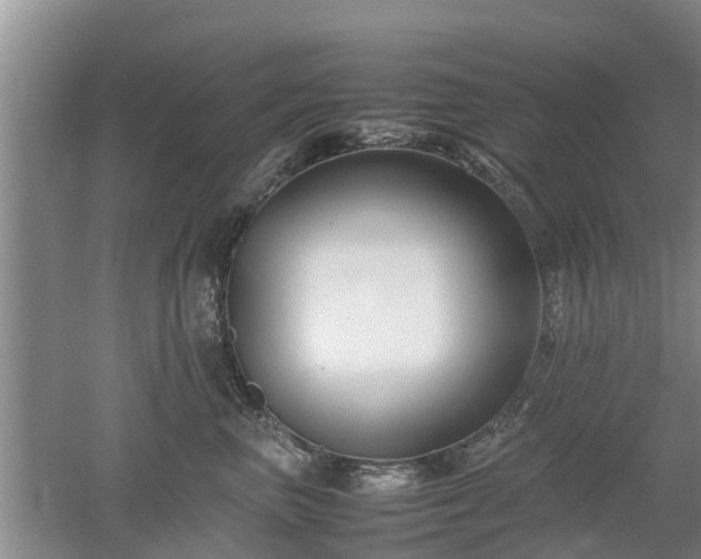 X0000053010667200507151949