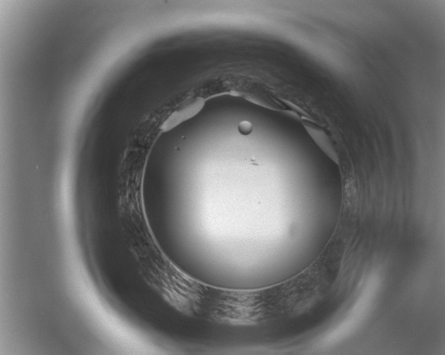 X0000053010671200507151949