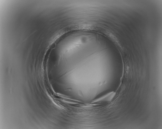 X0000053010674200507151948