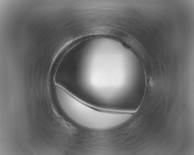 X0000053010676200507151948