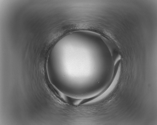 X0000053010681200507151948