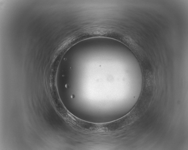 X0000053010683200507151948