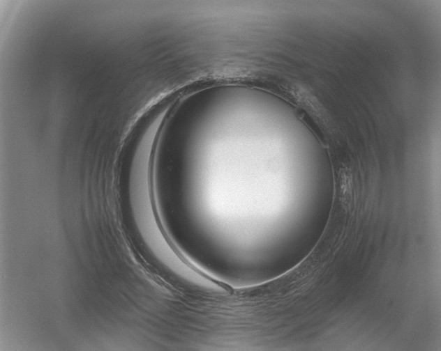 X0000053010684200507151948