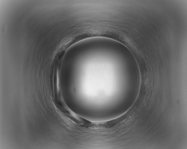 X0000053010685200507151948