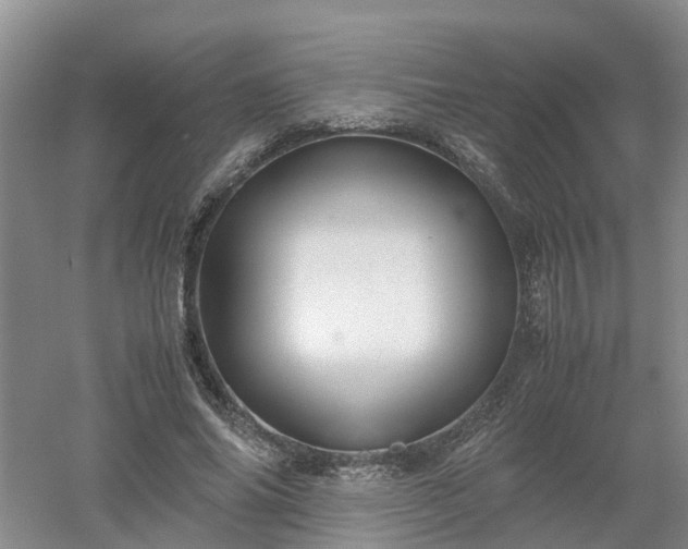 X0000053010686200507151948