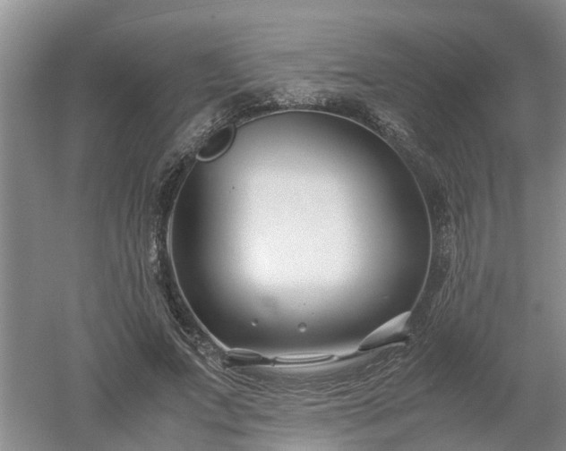 X0000053010687200507151948