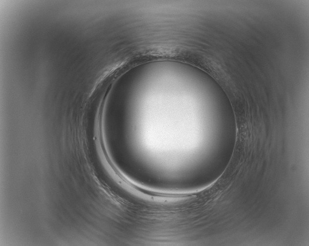 X0000053010688200507151948