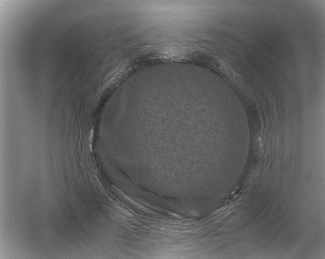 X0000053010689200507151948