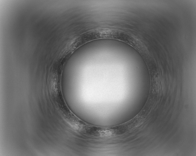 X0000053010698200507151948