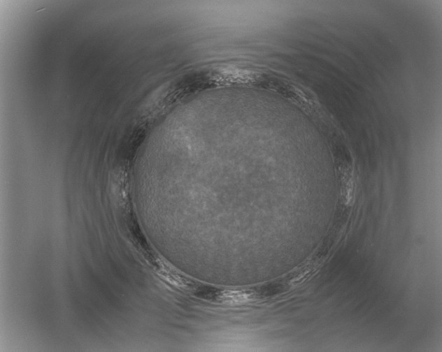 X0000053010701200507151948