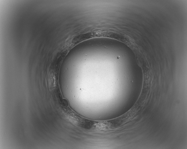 X0000053010703200507151948