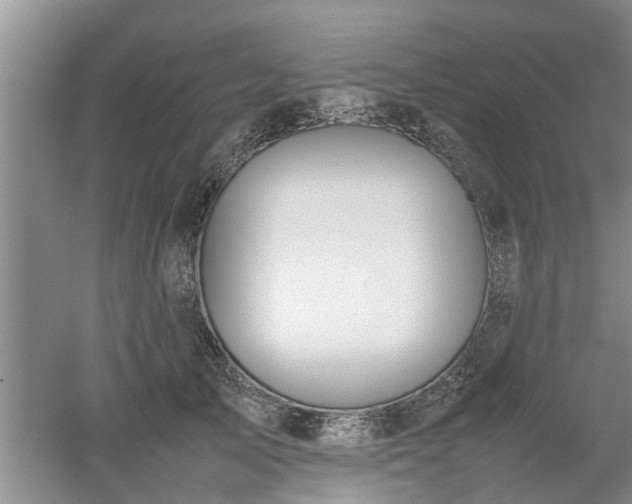 X0000053010705200507151948