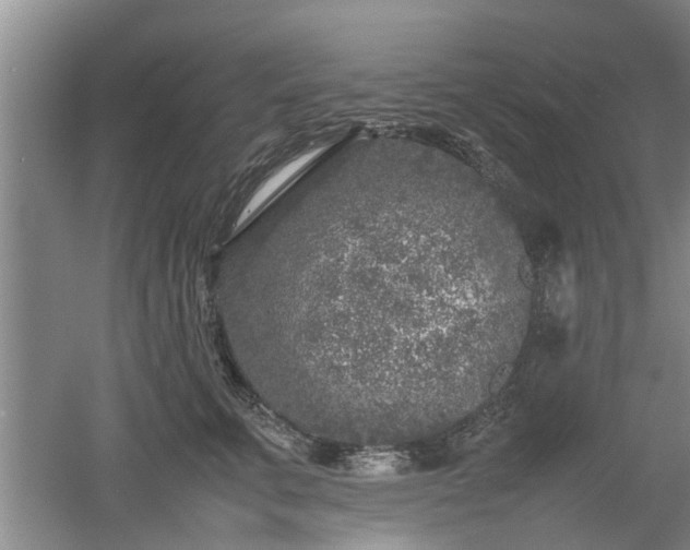 X0000053010711200507151948