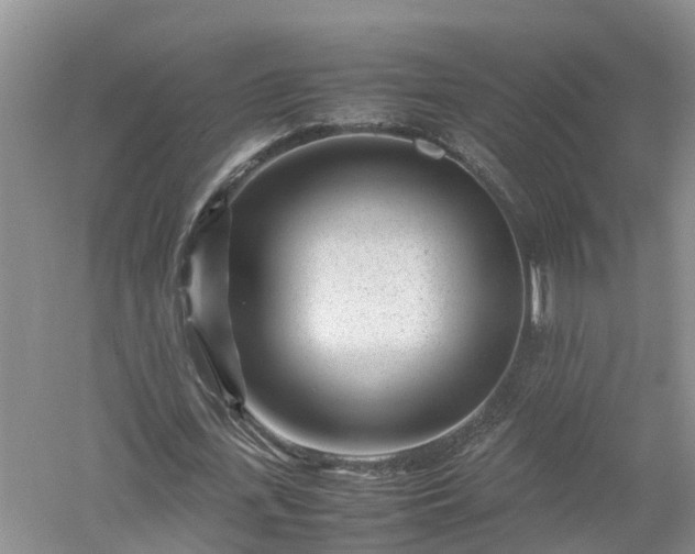 X0000053010723200507151947