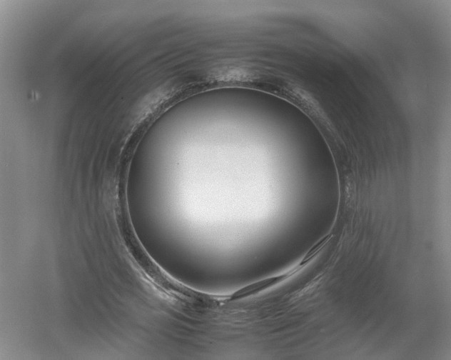 X0000053010725200507151947