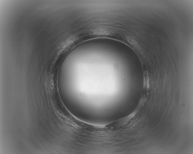 X0000053010731200507151947