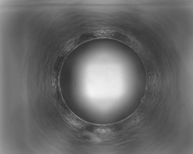 X0000053010749200507151947