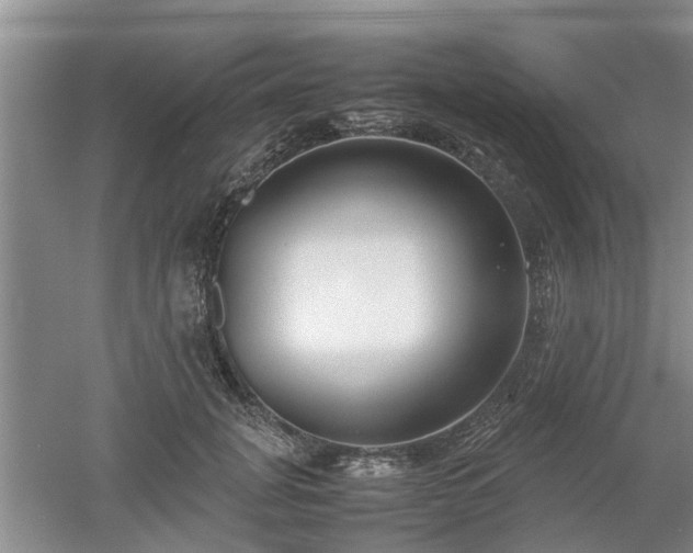 X0000053010751200507151947