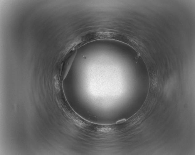 X0000053010759200507151947