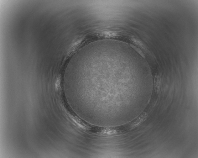 X0000053010760200507151947