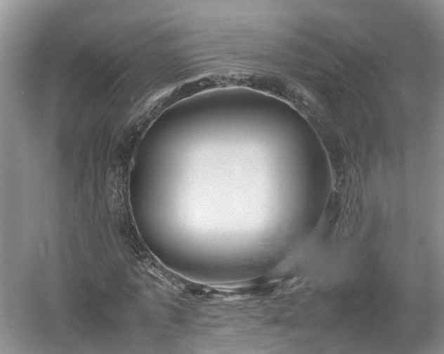 X0000053010773200507151947