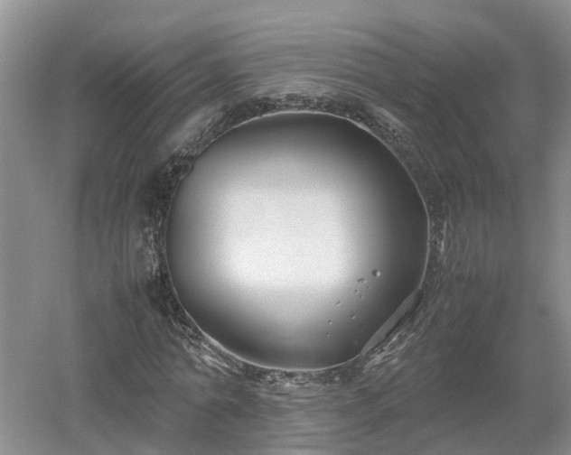 X0000053010774200507151947