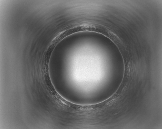 X0000053010776200507151946