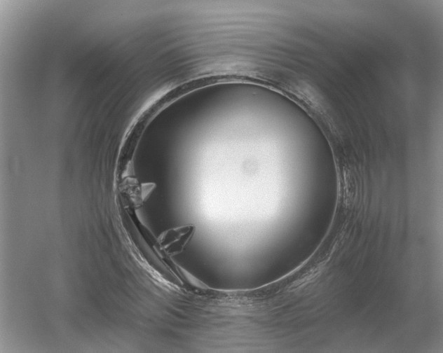 X0000053010780200507151946