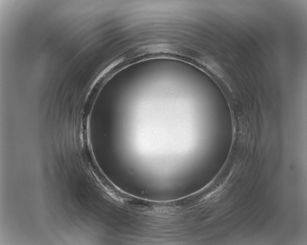 X0000053010782200507151946