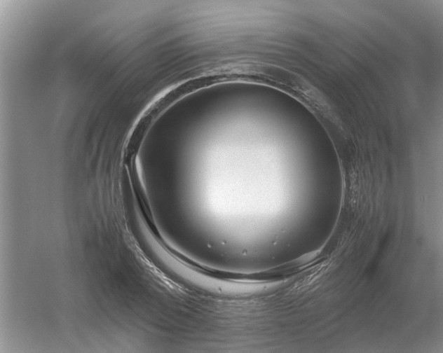 X0000053010784200507151946