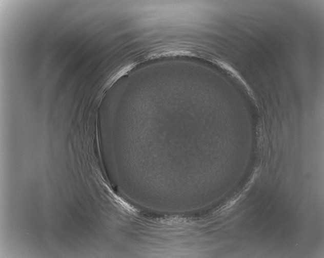 X0000053010785200507151946