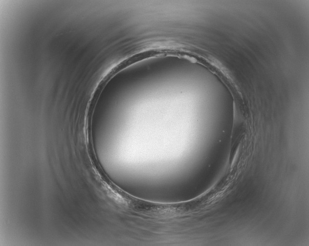 X0000053010791200507151946
