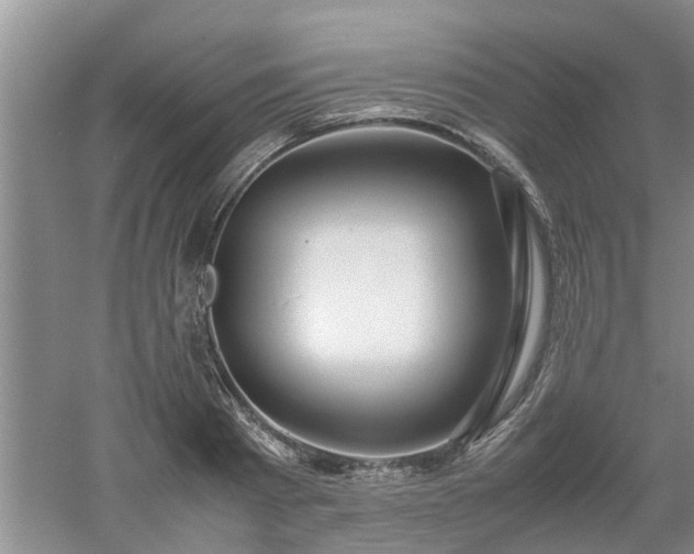 X0000053010793200507151946