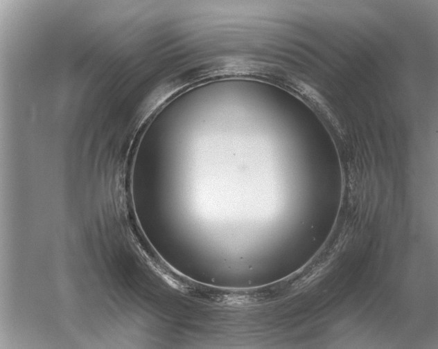 X0000053010794200507151946