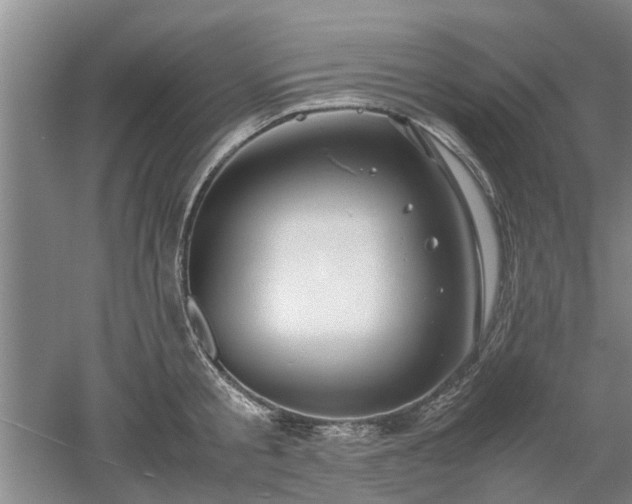 X0000053010805200507151946