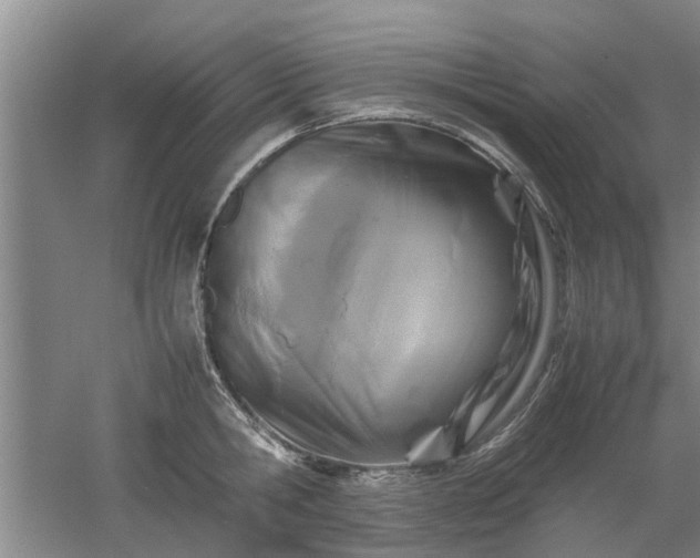 X0000053010806200507151946