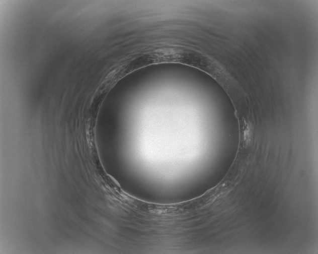 X0000053010819200507151945