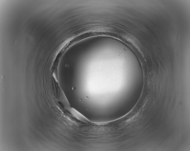 X0000053010829200507151945