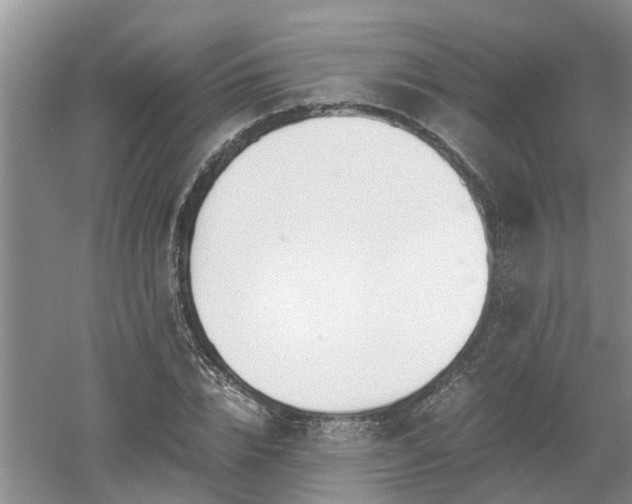 X0000053010832200507151945