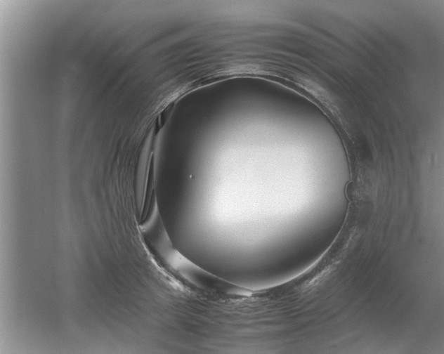 X0000053010849200507151946