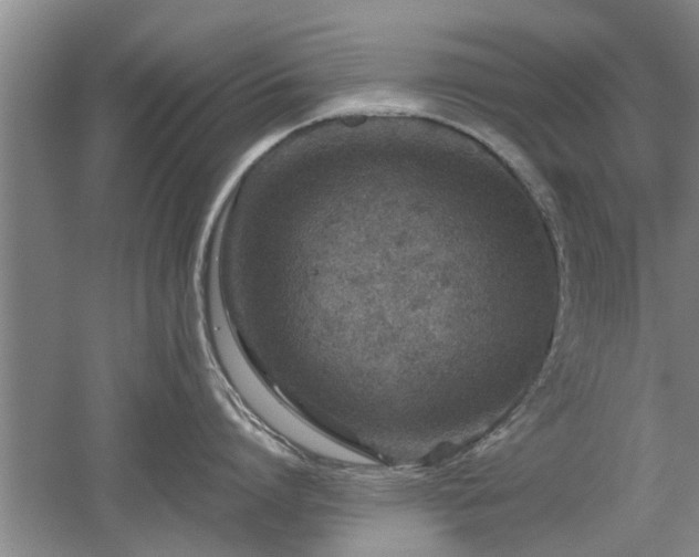 X0000053010864200507151946