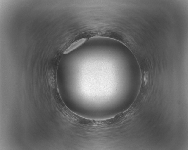 X0000053010867200507151945